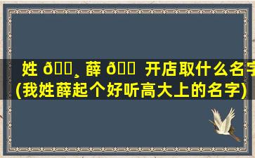 姓 🕸 薛 🐠 开店取什么名字(我姓薛起个好听高大上的名字)